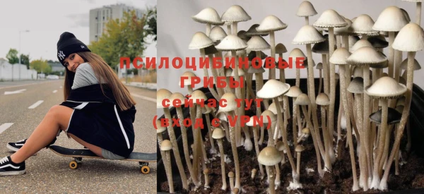 эйфоретик Надым
