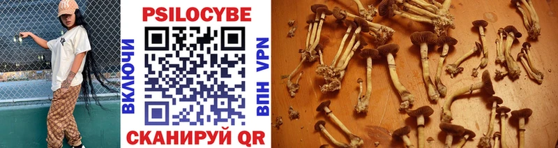 Псилоцибиновые грибы Psilocybine cubensis как найти закладки Трубчевск